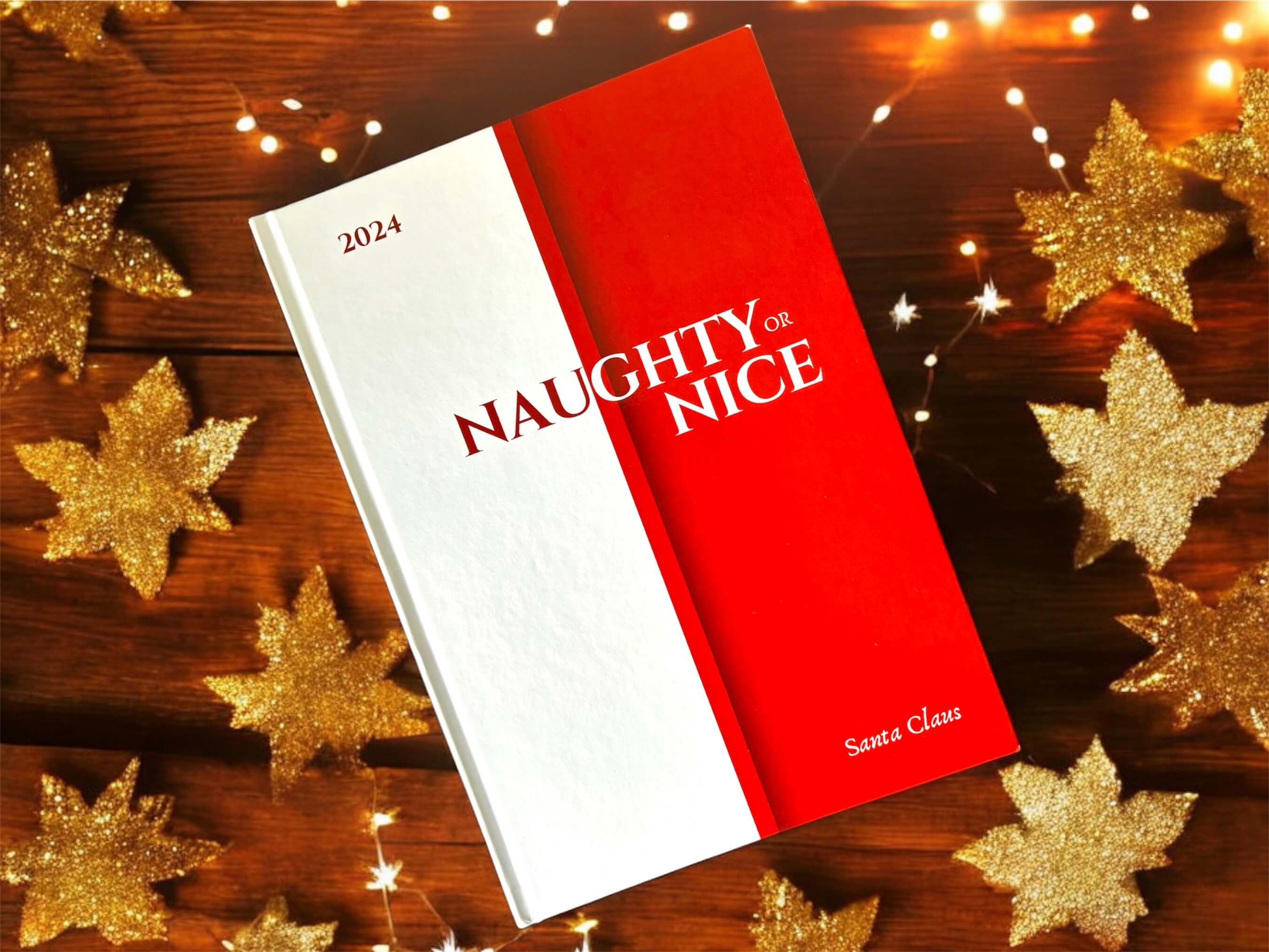 naughty or nice list 2024